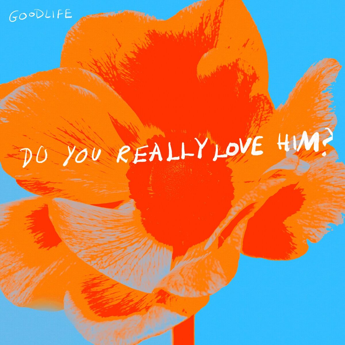 Album cover of do you really love him?