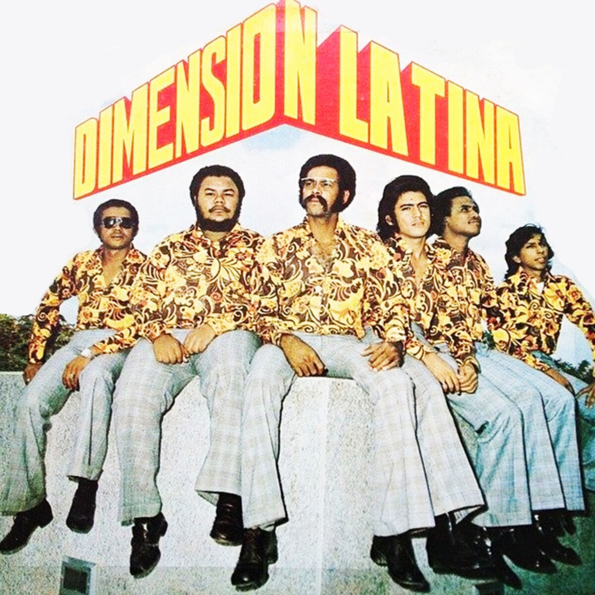 Album cover of Dimension Latina