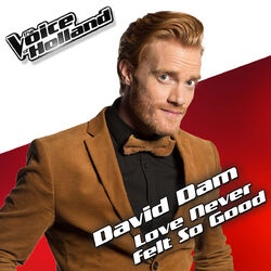 Cover of Love Never Felt So Good