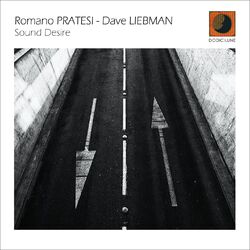Cover of Sound Desire