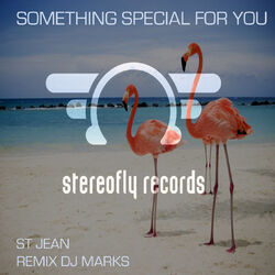 Cover of Something Special For you
