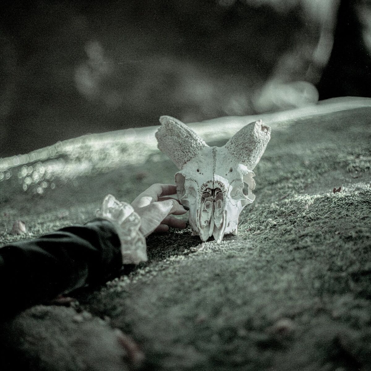 Album cover of Ritual