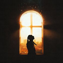Cover of On Fire
