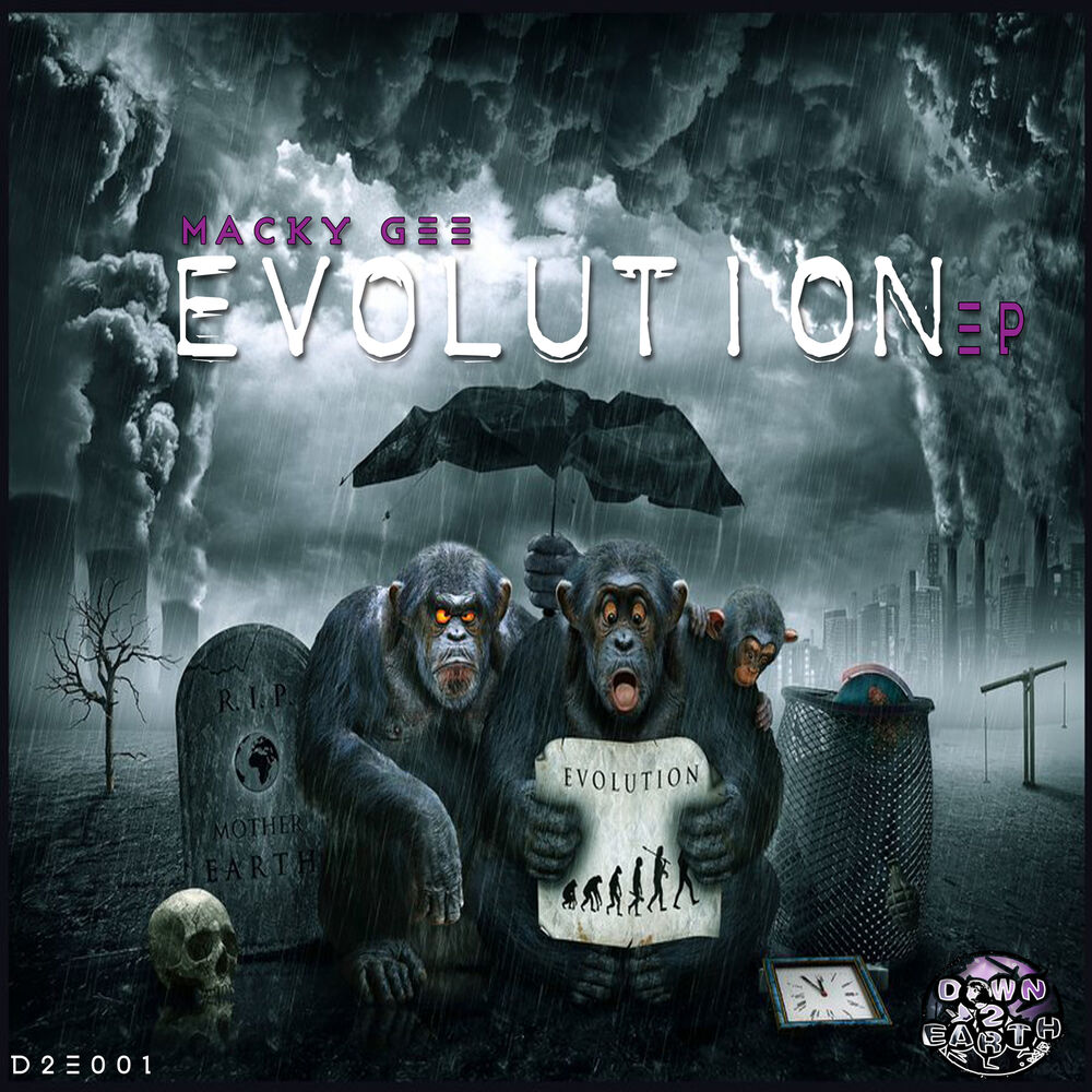 Picture of Evolution