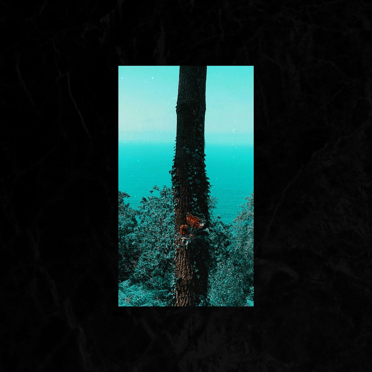Album cover of Azalak