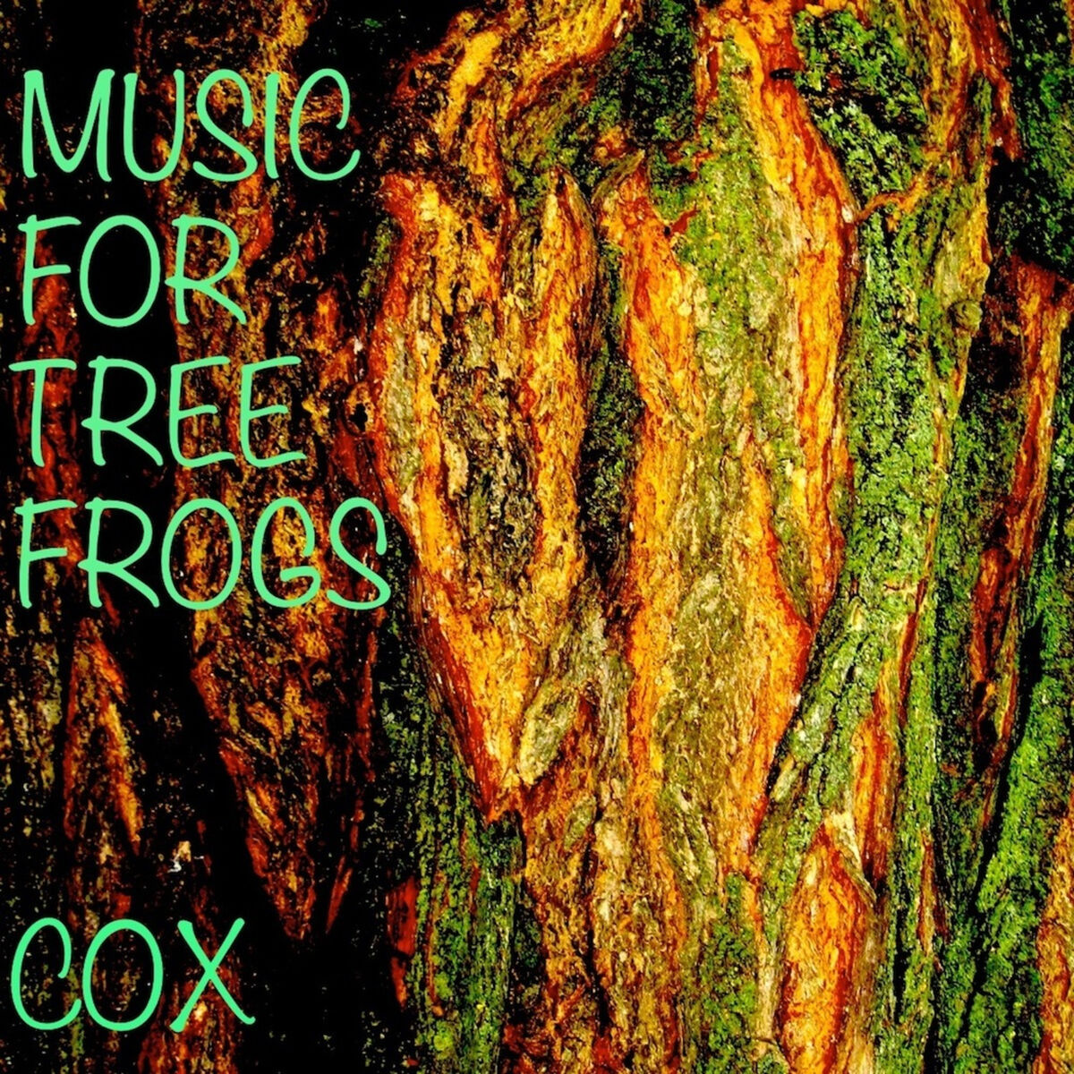 Album cover of Music for Tree Frogs