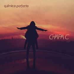 Cover of Química Perfecta