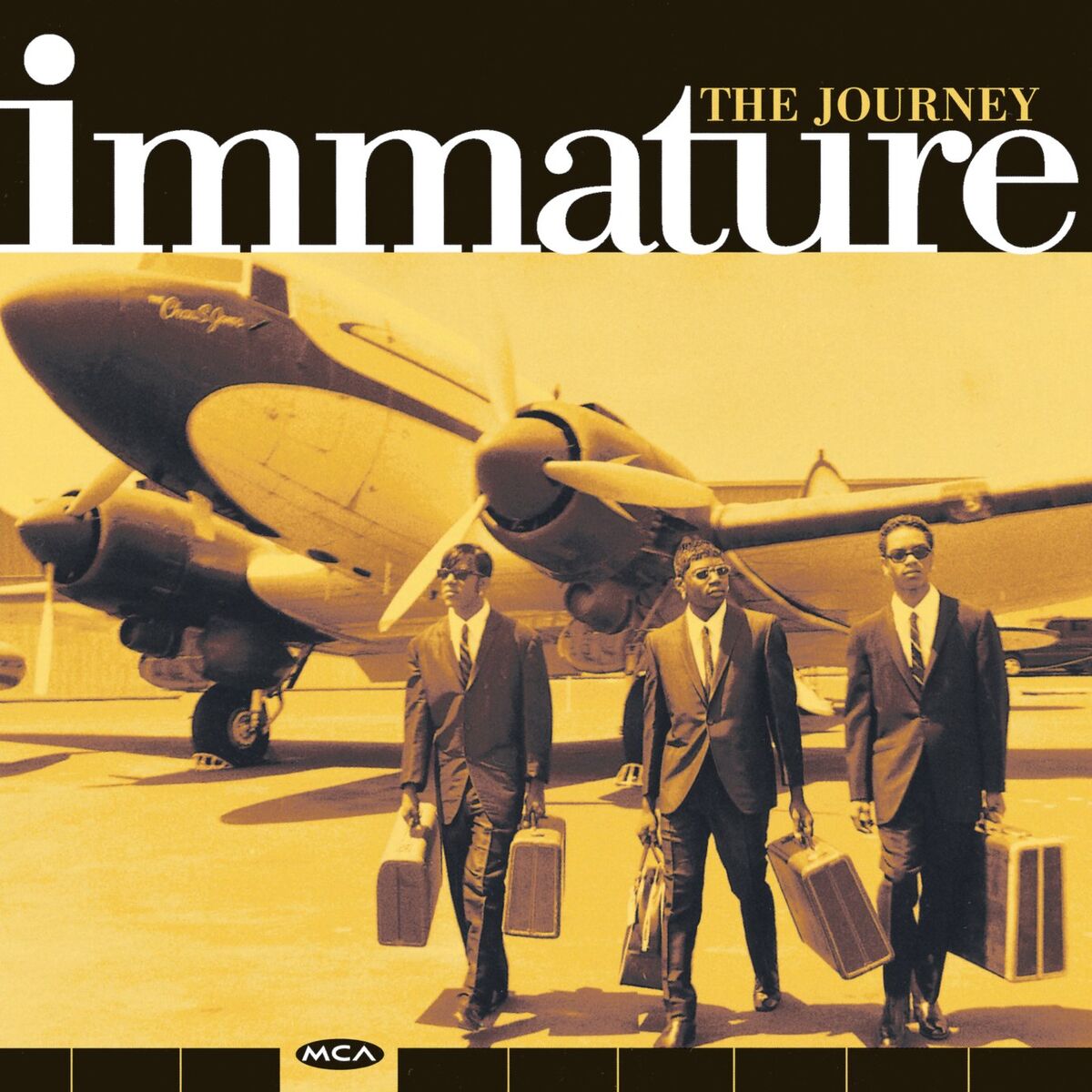 Album cover of The Journey