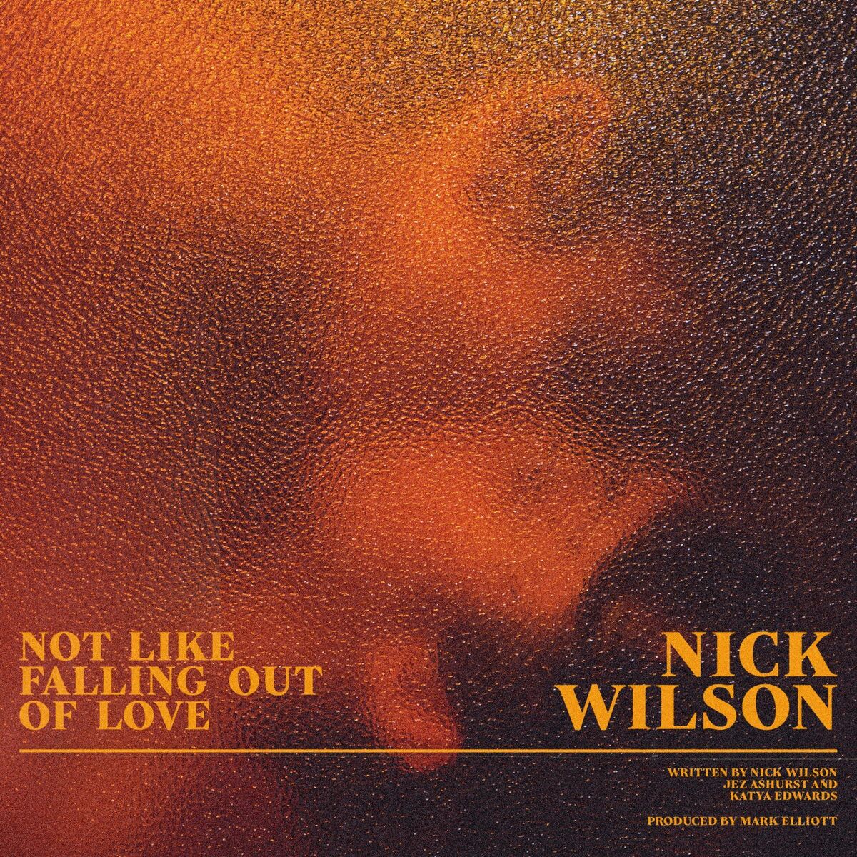 Album cover of Not Like Falling Out Of Love