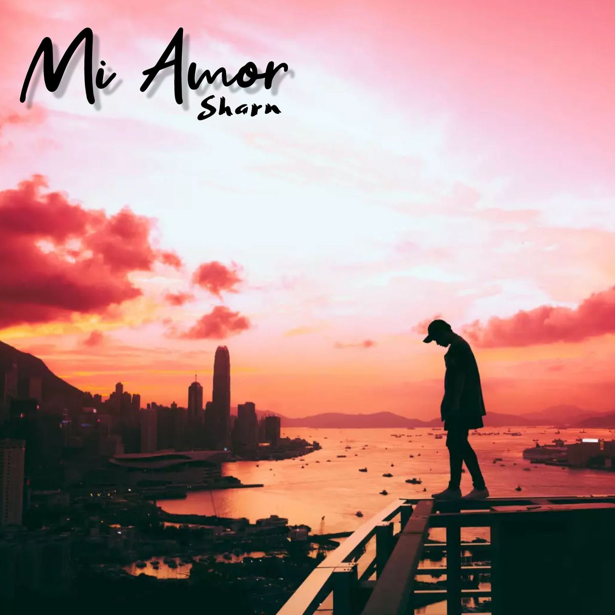 Album cover of Mi Amor
