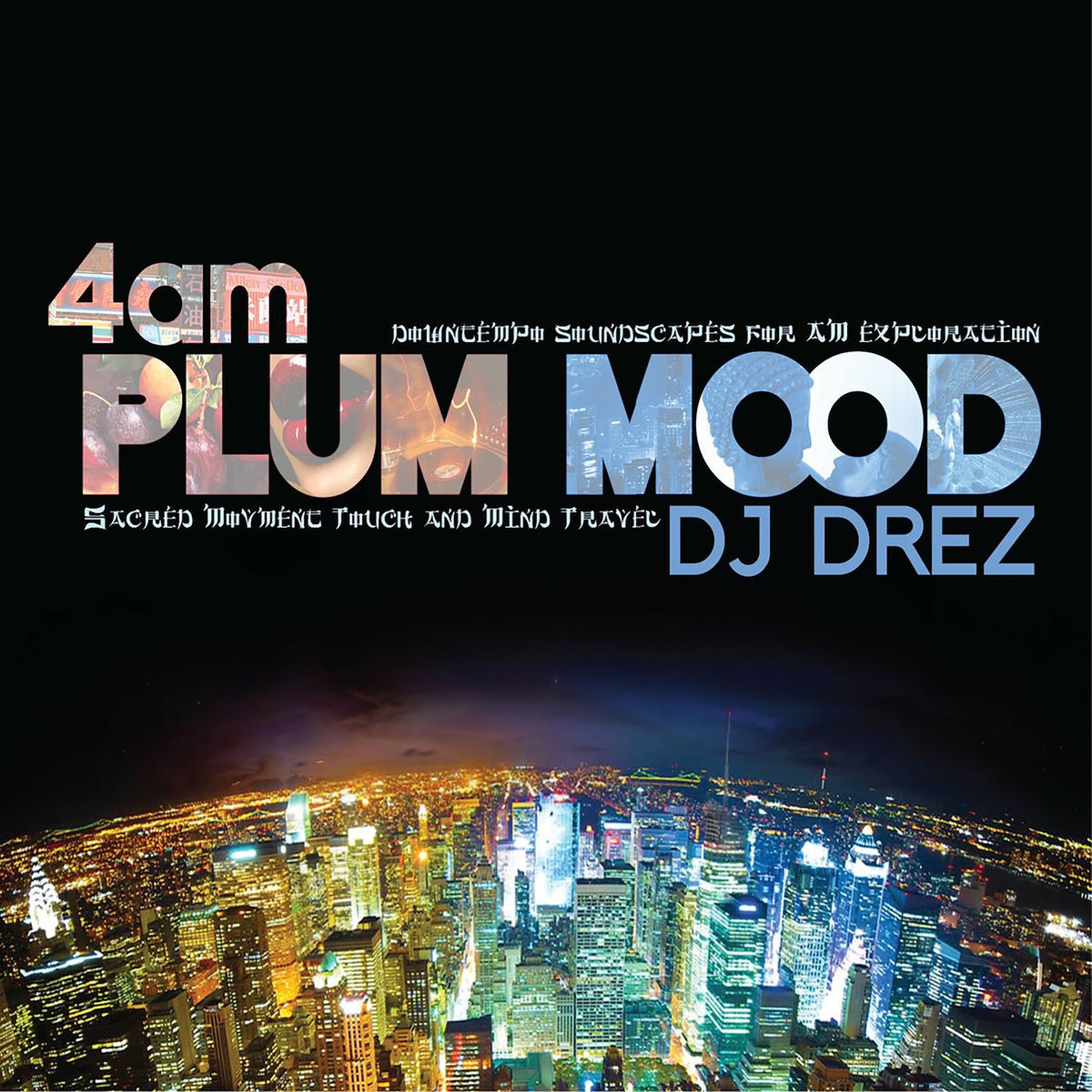Album cover of 4am Plum Mood