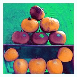 Cover of I Frutti della Terra (feat. Cripta Recording)