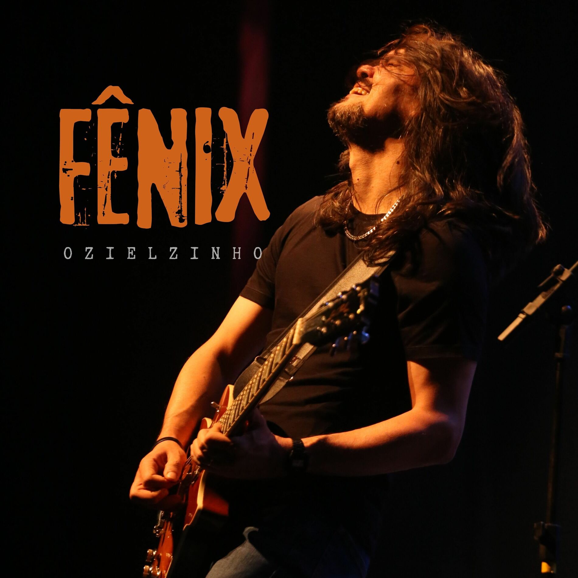 Album cover of Fênix
