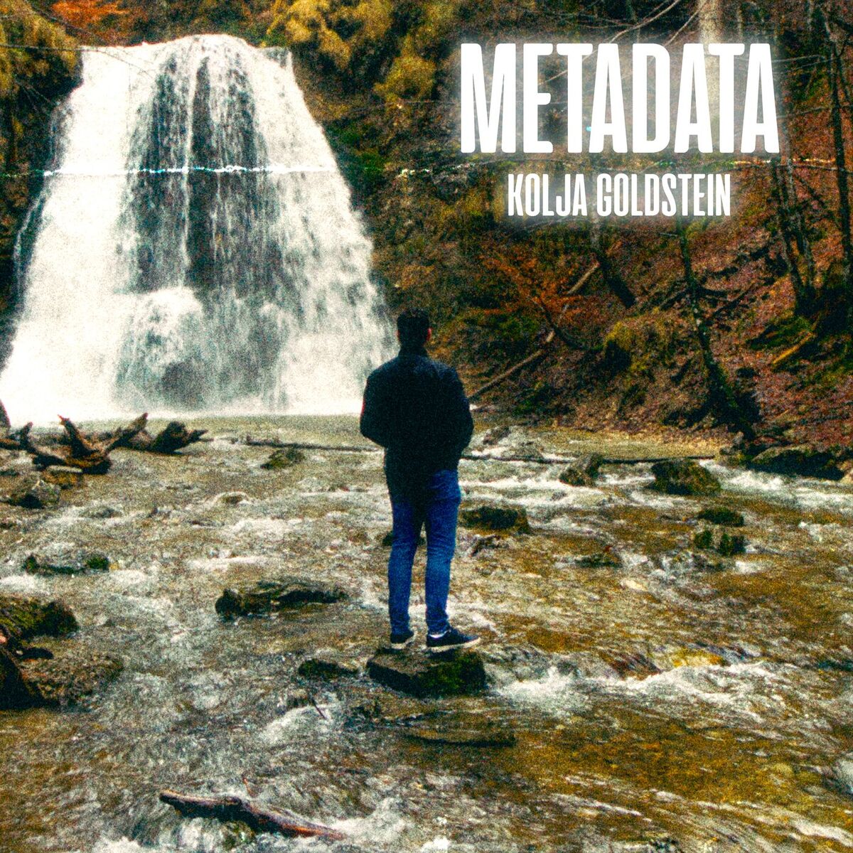 Album cover of Metadata