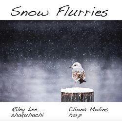 Cover of Snow Flurries