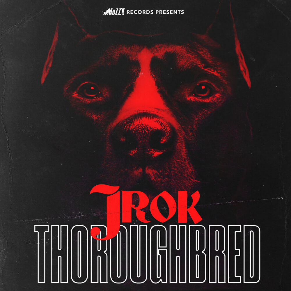 Picture of Thoroughbred