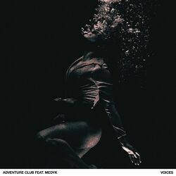 Cover of Voices