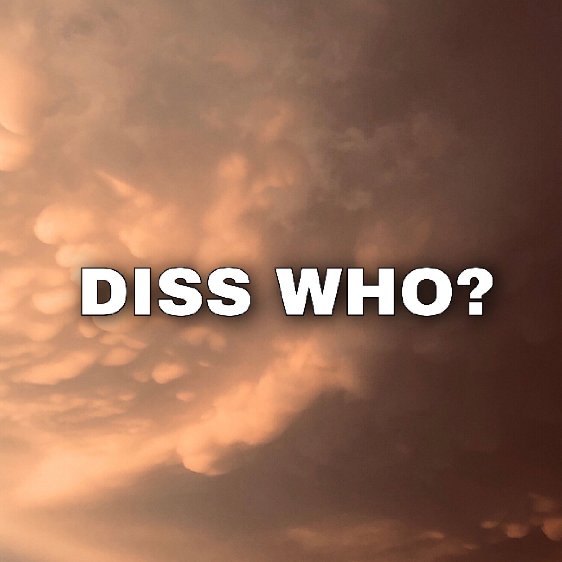 Album cover of Diss Who?