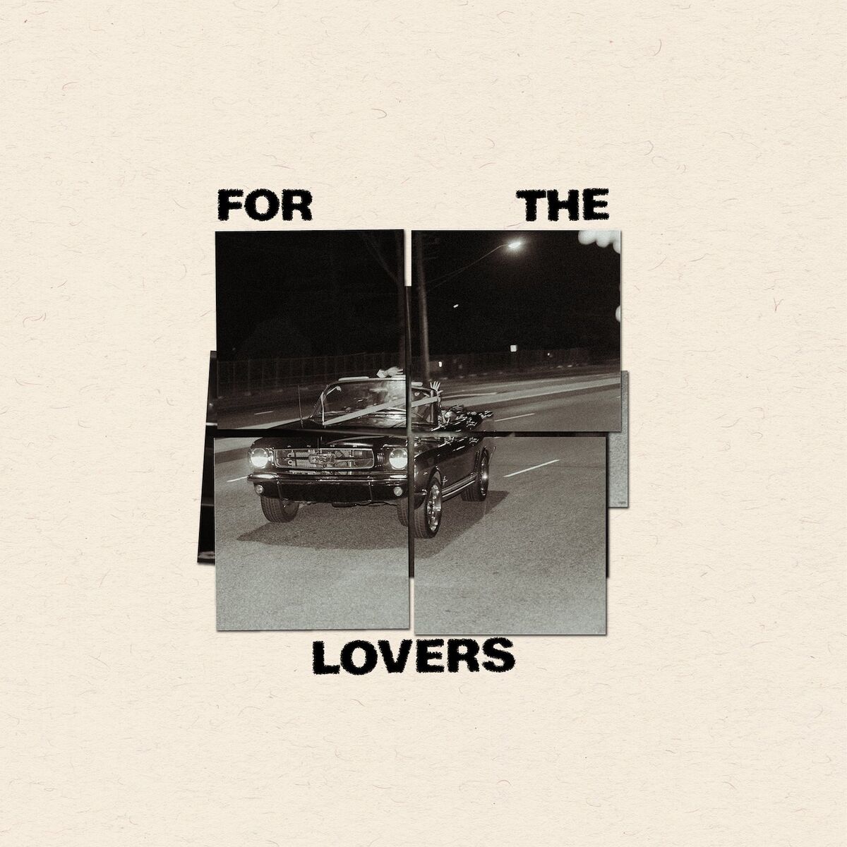 Album cover of For the Lovers