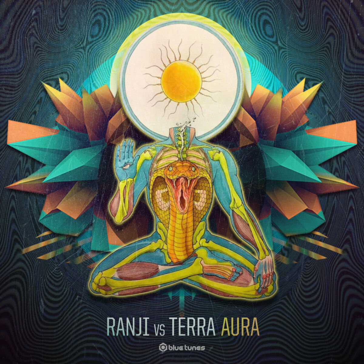 Album cover of Aura