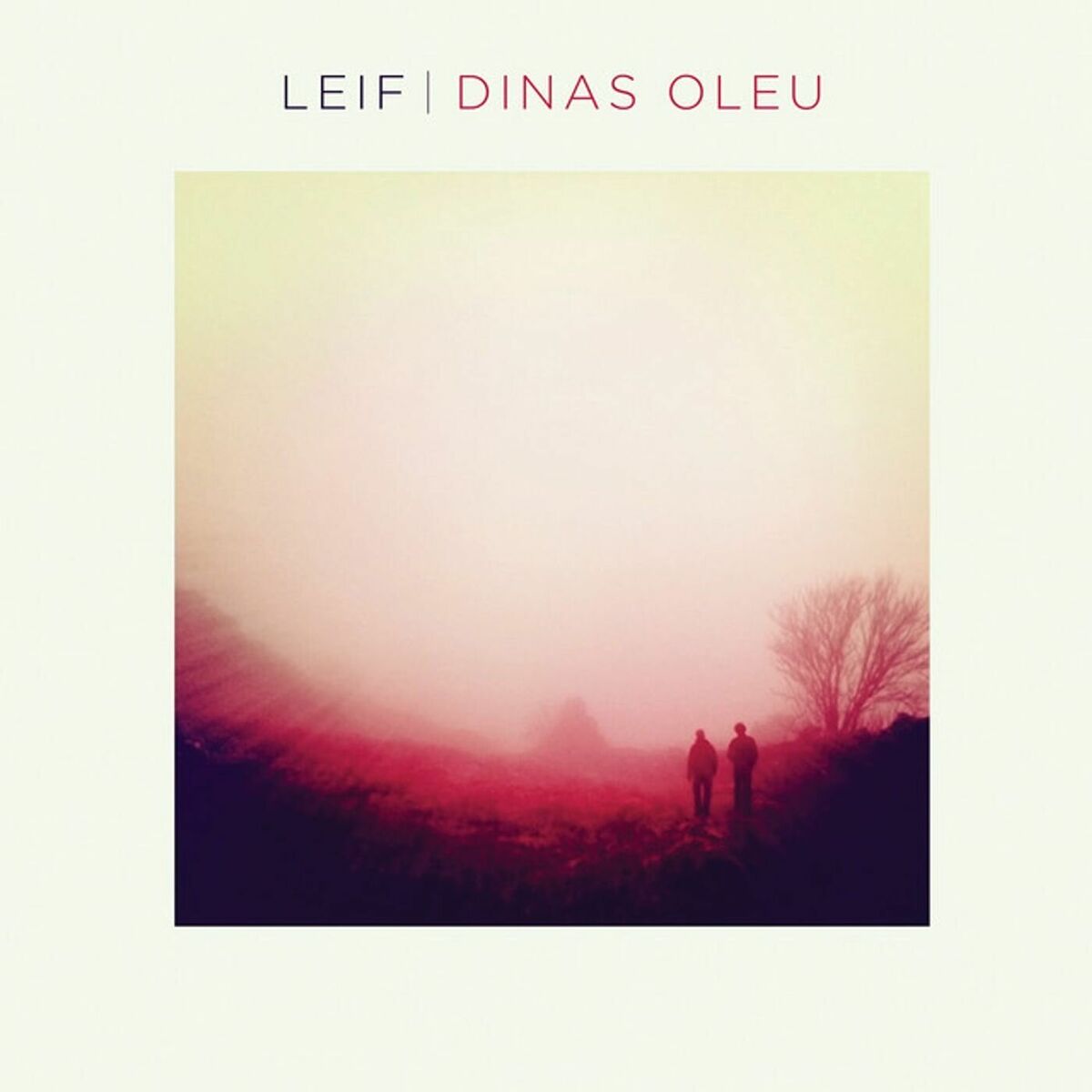 Album cover of Dinas Oleu
