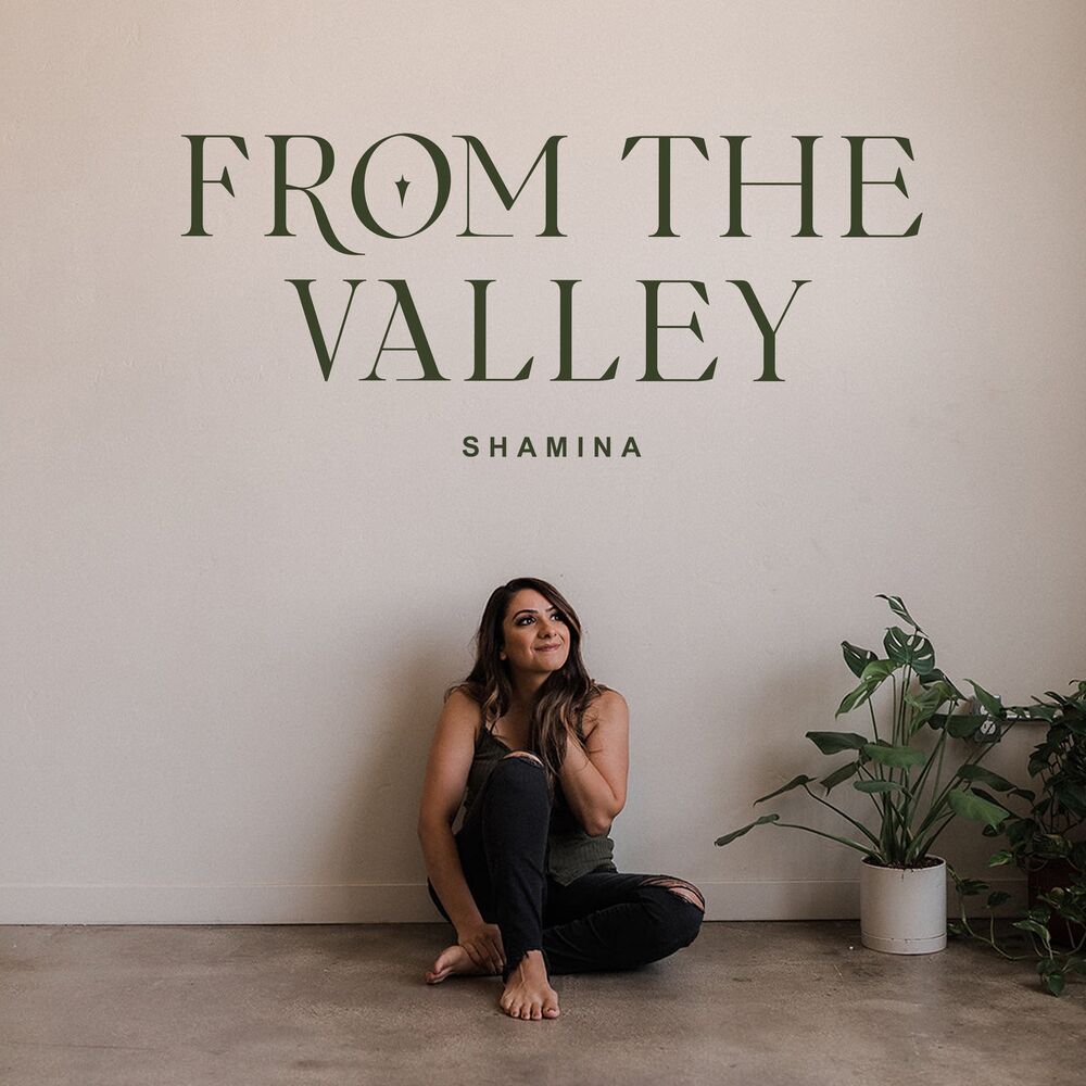 Picture of From the Valley