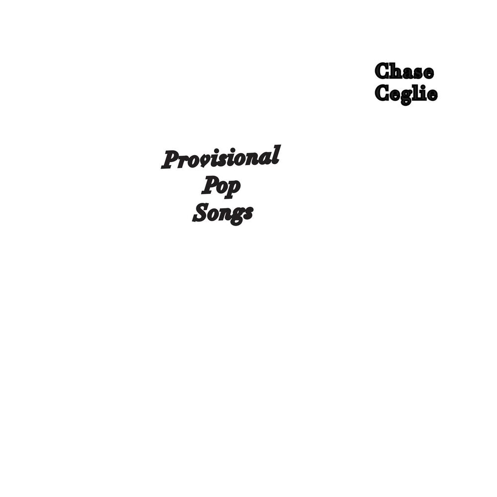 Picture of Provisional Pop Songs