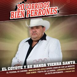 Cover of 20 Corridos Bien Perrones