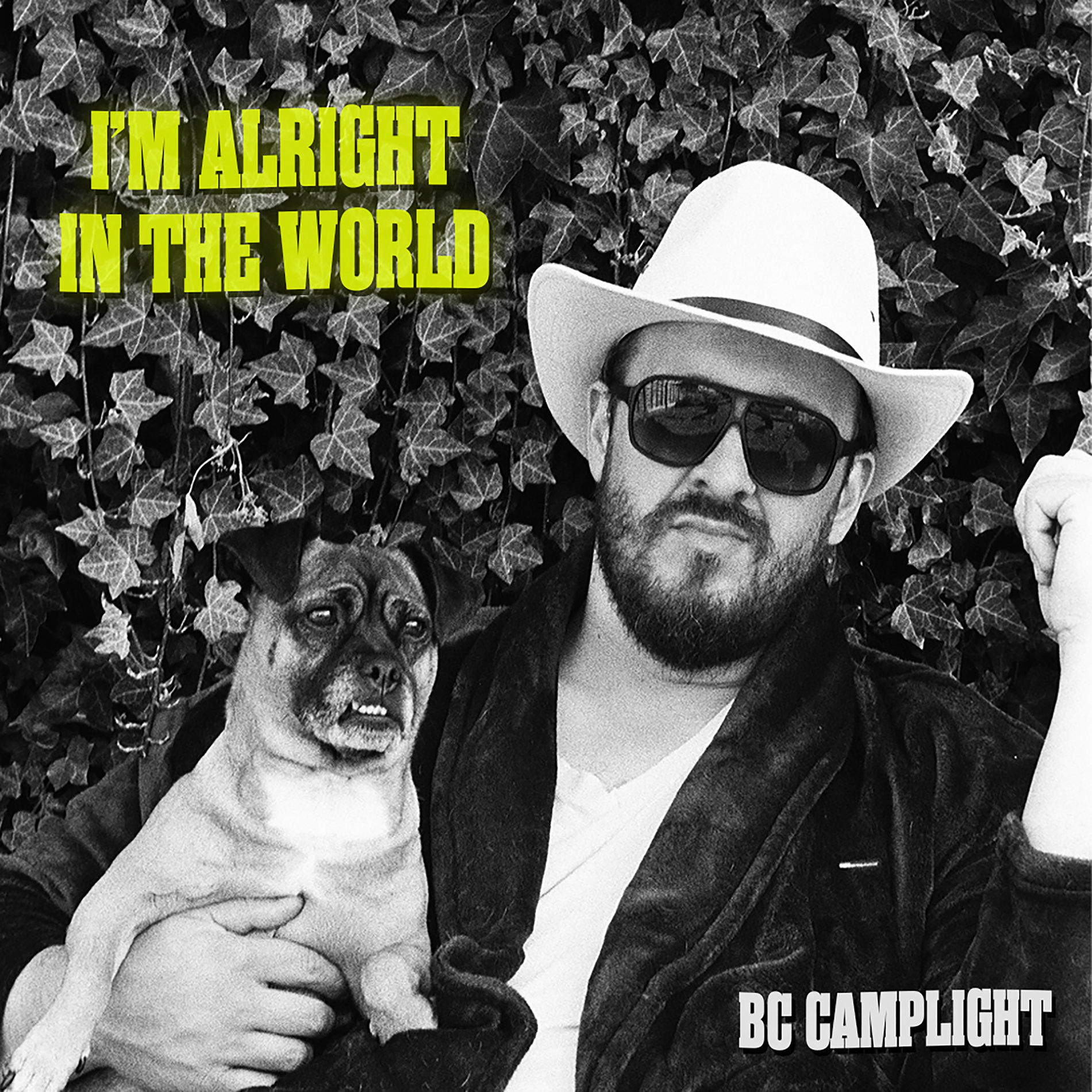 Album cover of I'm Alright In The World