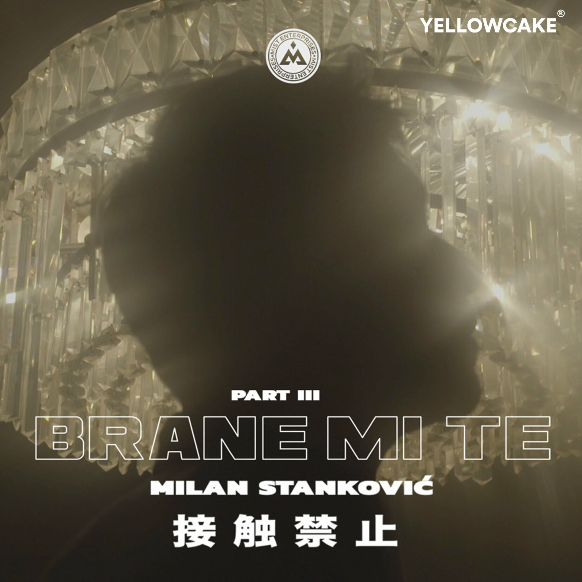 Album cover of Brane mi Te