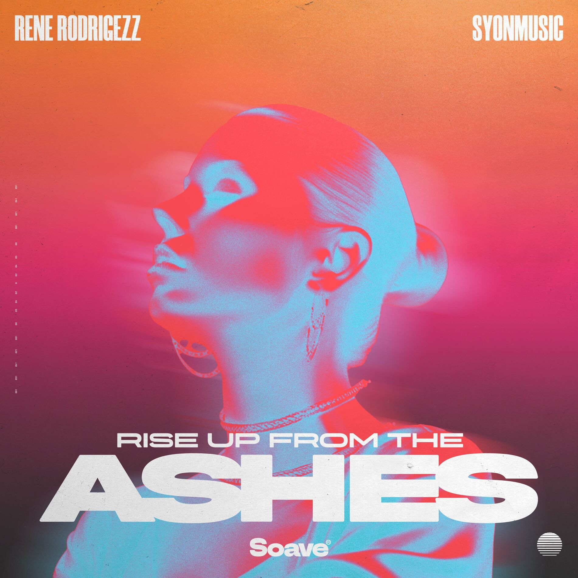 Album cover of Rise Up From The Ashes