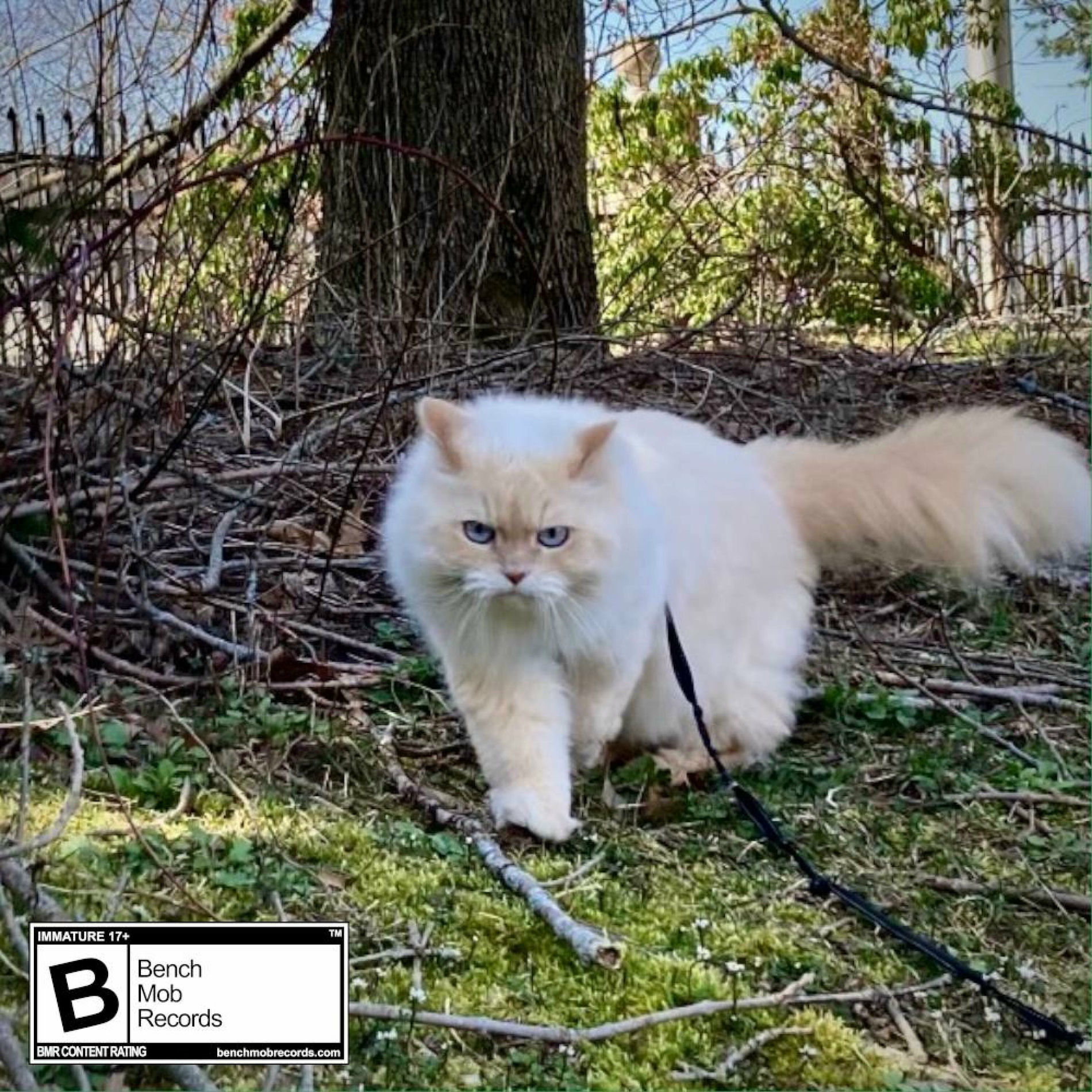 Album cover of Okay