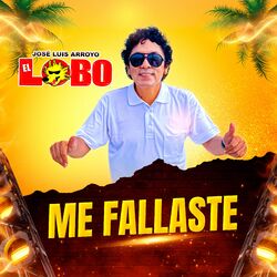 Cover of Me Fallaste