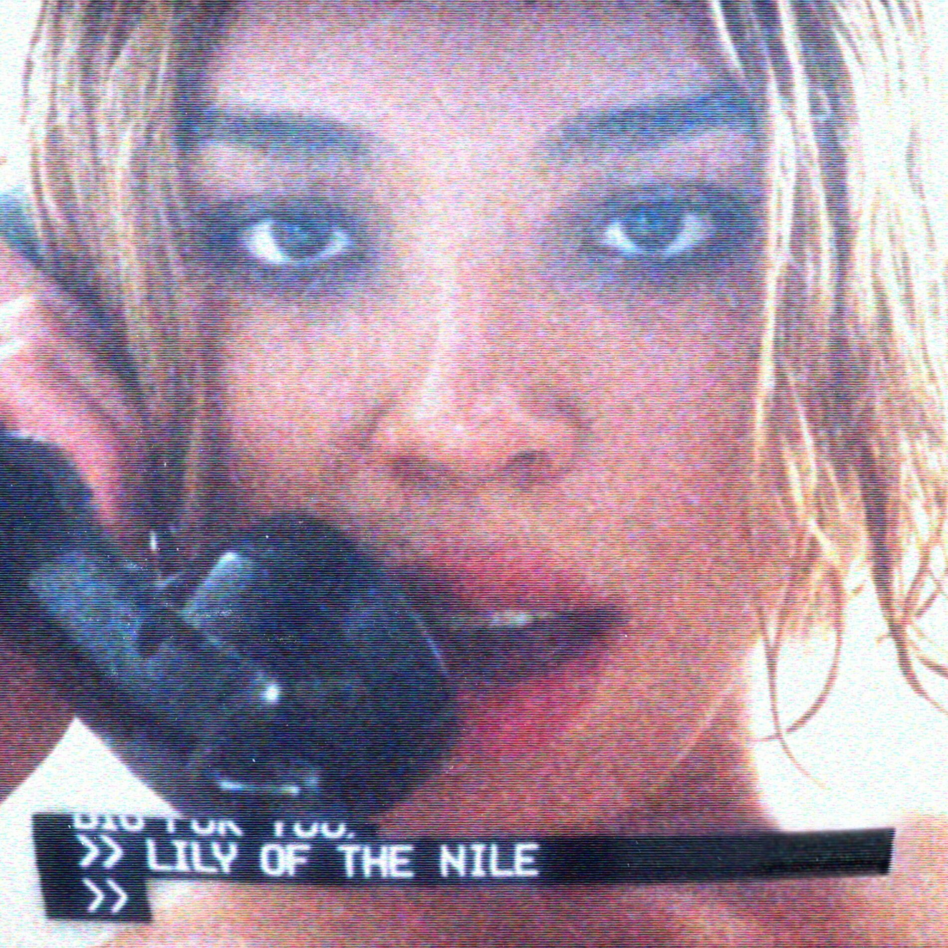 Album cover of Lily of the Nile