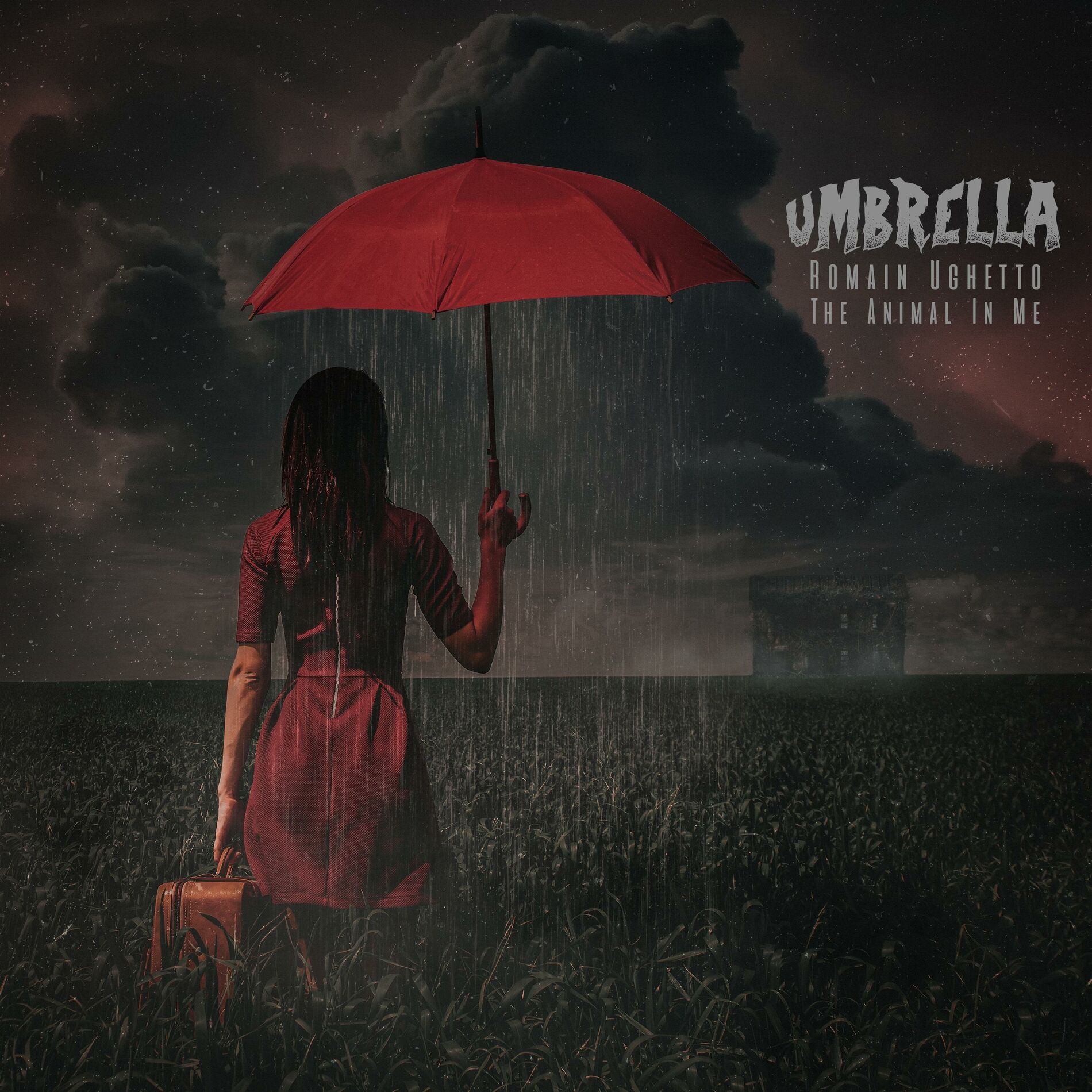 Album cover of Umbrella