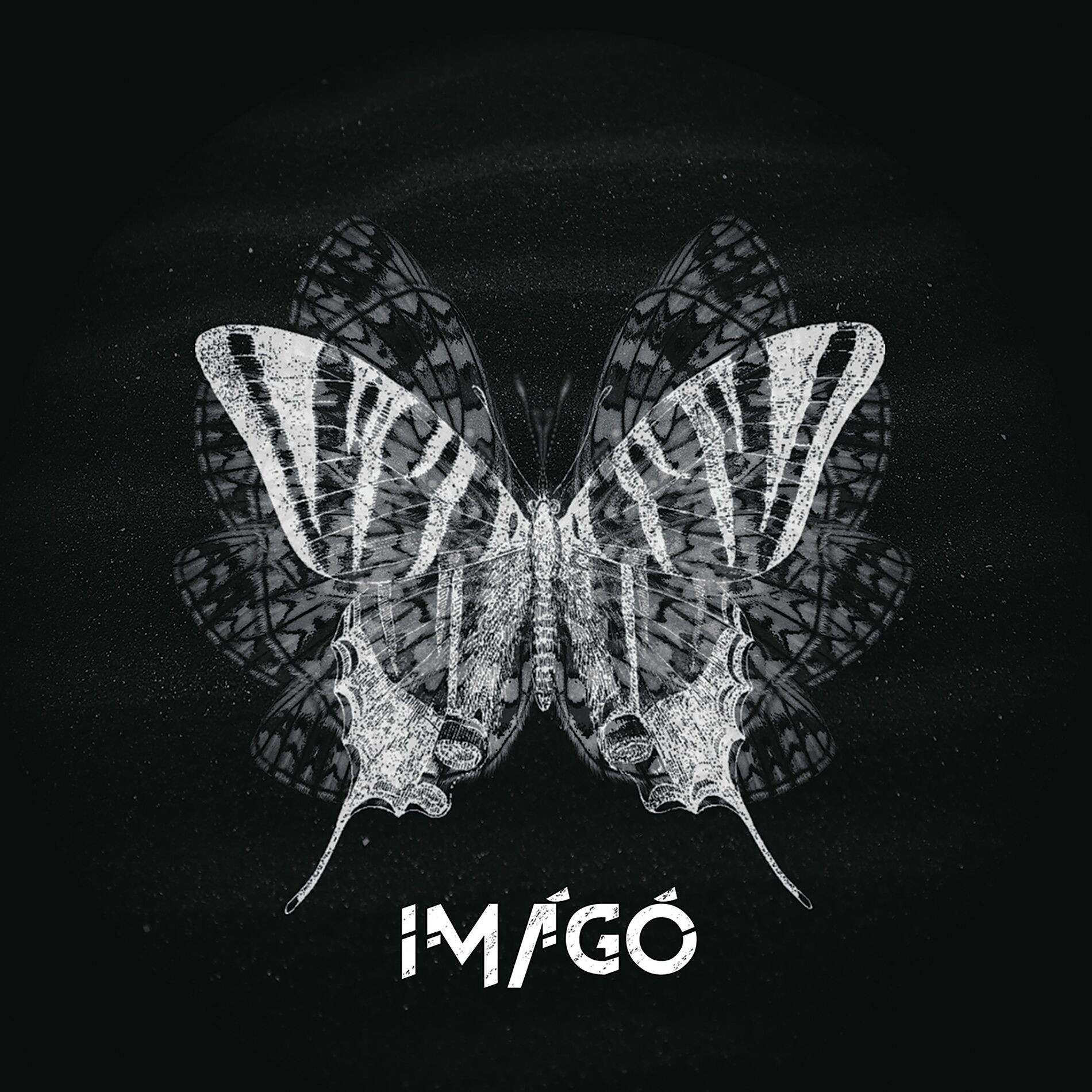 Album cover of Imágó