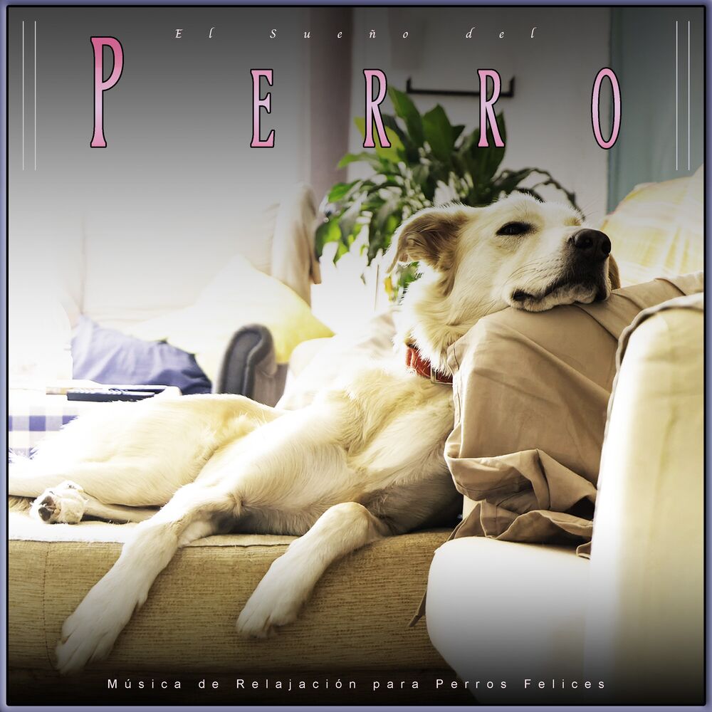 Picture of El Sueño del Perro: Música de Relajación para Perros Felices