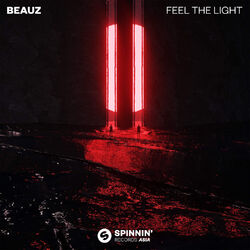 Cover of Feel The Light