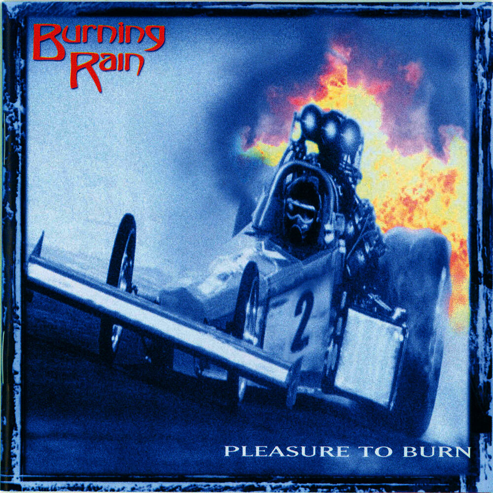 Picture of Pleasure to Burn (2013 Deluxe Edition)