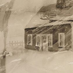 Cover of Snow