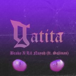 Cover of Gatita