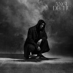 Cover of Ange déchu