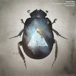Cover of Love Is the Answer, What Is the Question