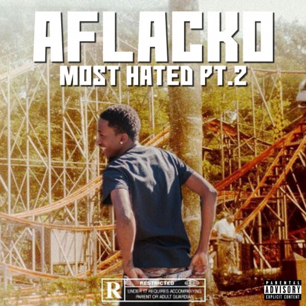 Album cover of Most Hated, Pt. 2