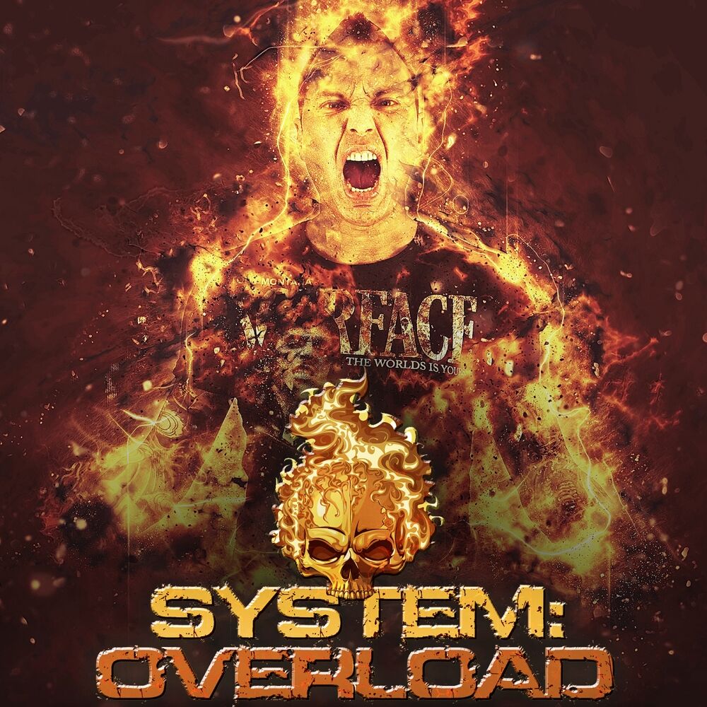 Picture of System Overload