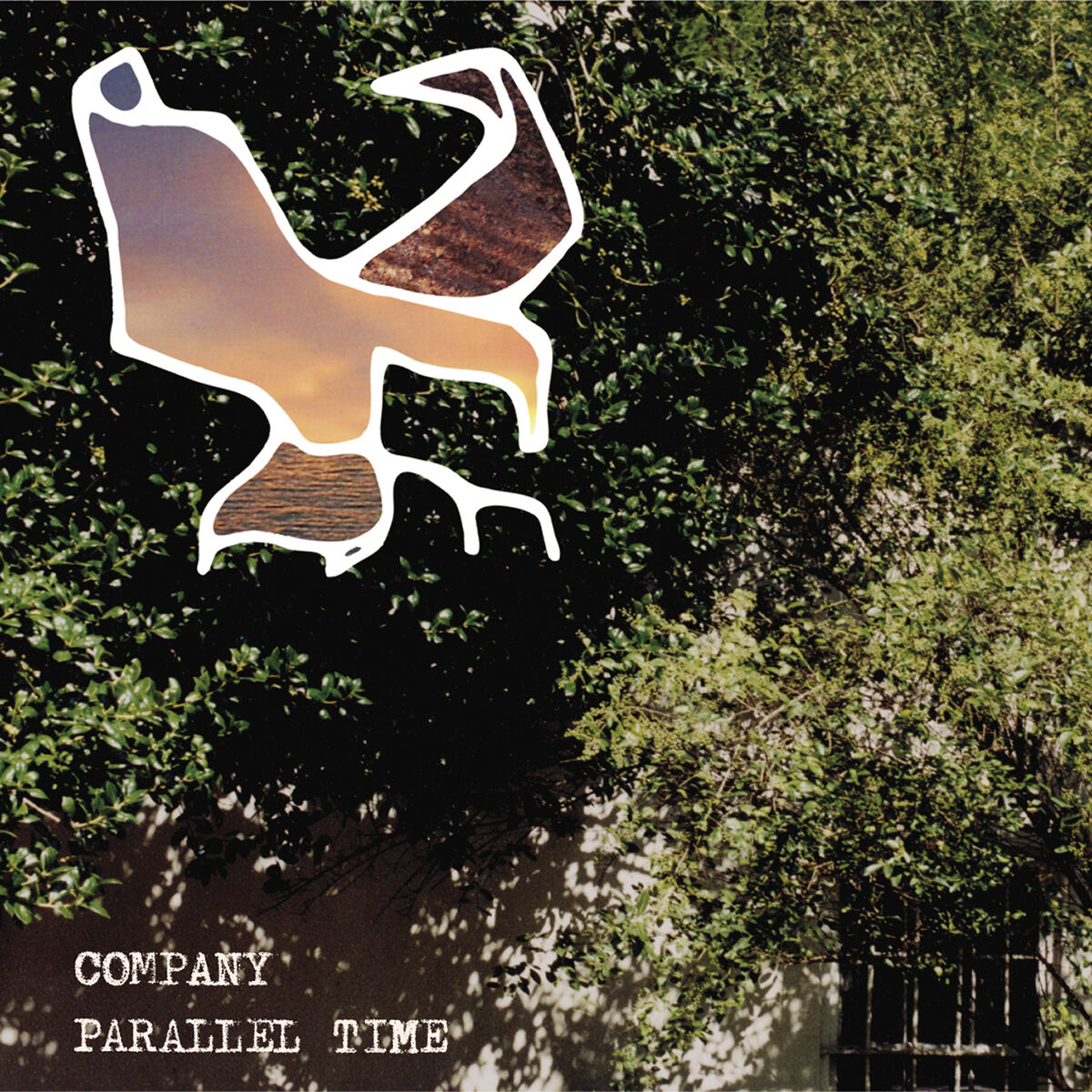 Album cover of Parallel Time
