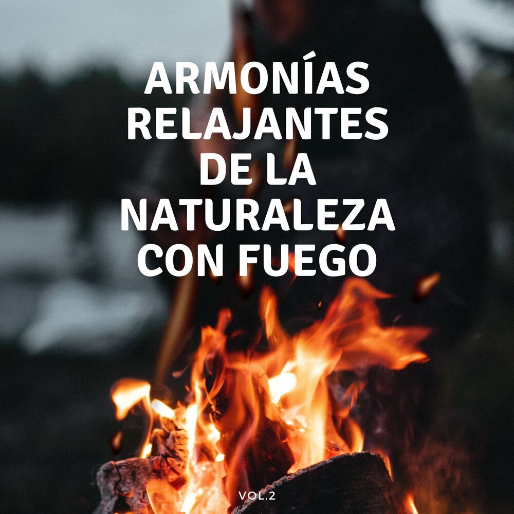 Picture of Armonías Relajantes De La Naturaleza Con Fuego Vol. 2
