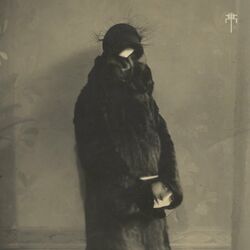 Cover of Fever
