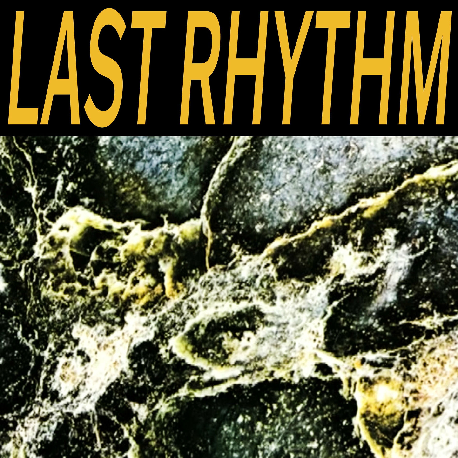 Album cover of Last Rhythm