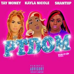 Cover of PTDOM